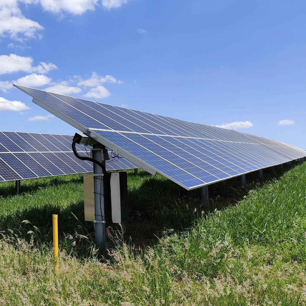 Solar Park Grazing (without Clover)
