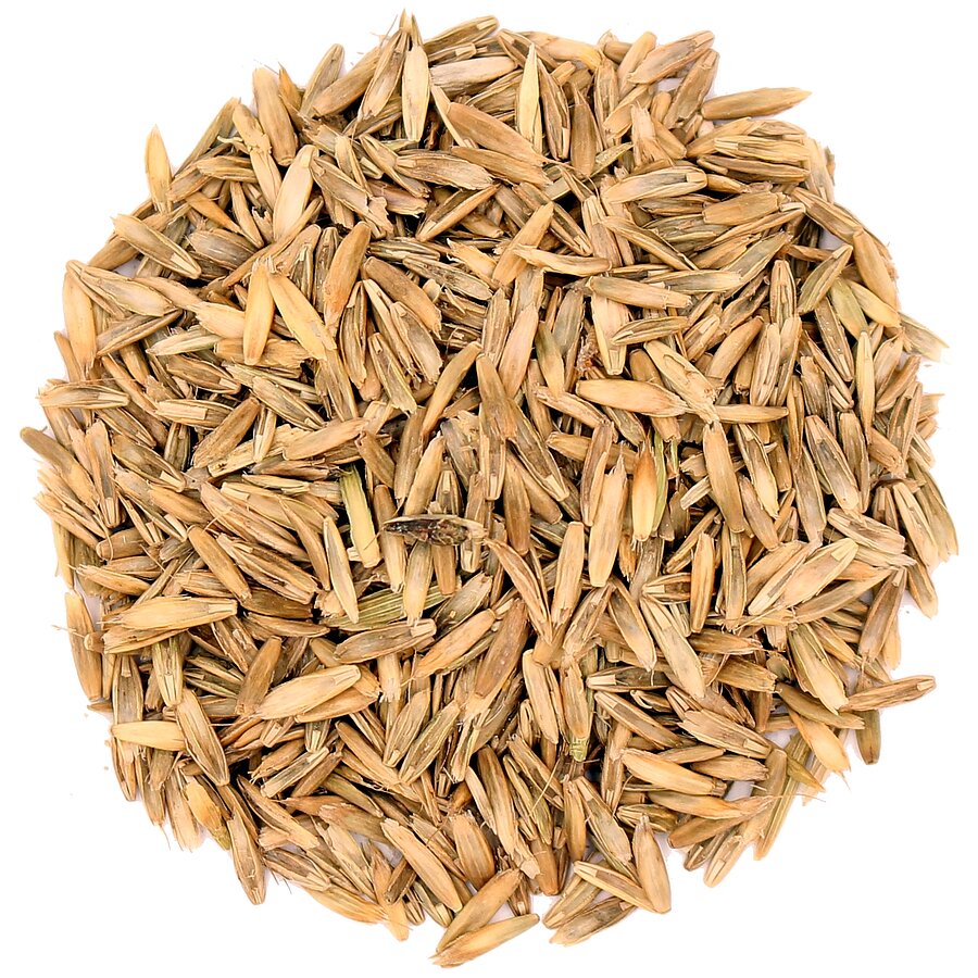Green Garden Premium Lawn
